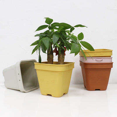 Multi Functional Silicone Flower Pot Eco Friendly With Customized Logo