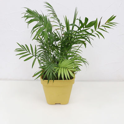 Multi Functional Silicone Flower Pot Eco Friendly With Customized Logo