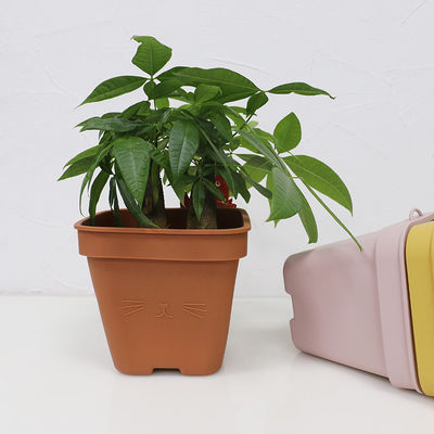 Multi Functional Silicone Flower Pot Eco Friendly With Customized Logo