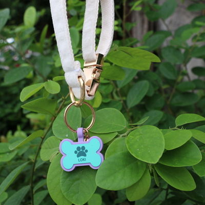BPA free  silicone silent dog tags Colourful color silicone dog neck tag on sale unique Silicone dog ID tags accessories