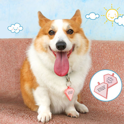 PAISEN Personalized Custom Dog Tags Engraved 3D QR Code Dogs Cat Collar Silicone Pet Tag