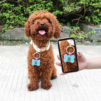 PAISEN Personalized Custom Dog Tags Engraved 3D QR Code Dogs Cat Collar Silicone Pet Tag