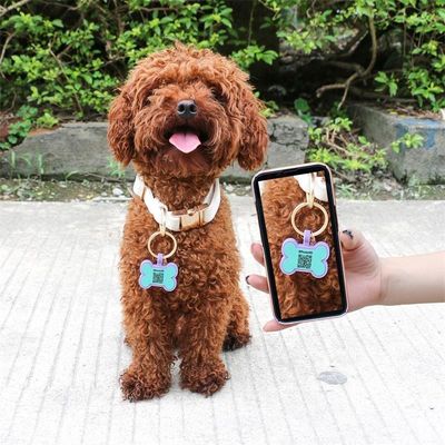 Wholesale low MOQ Cheap different shape many colors for options silicone blank dog tag name ID tag