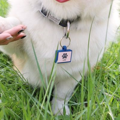 Wholesale low MOQ Cheap different shape many colors for options silicone blank dog tag name ID tag