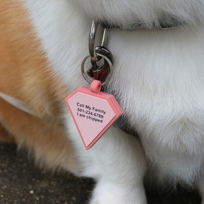 Wholesale low MOQ Cheap different shape many colors for options silicone blank dog tag name ID tag